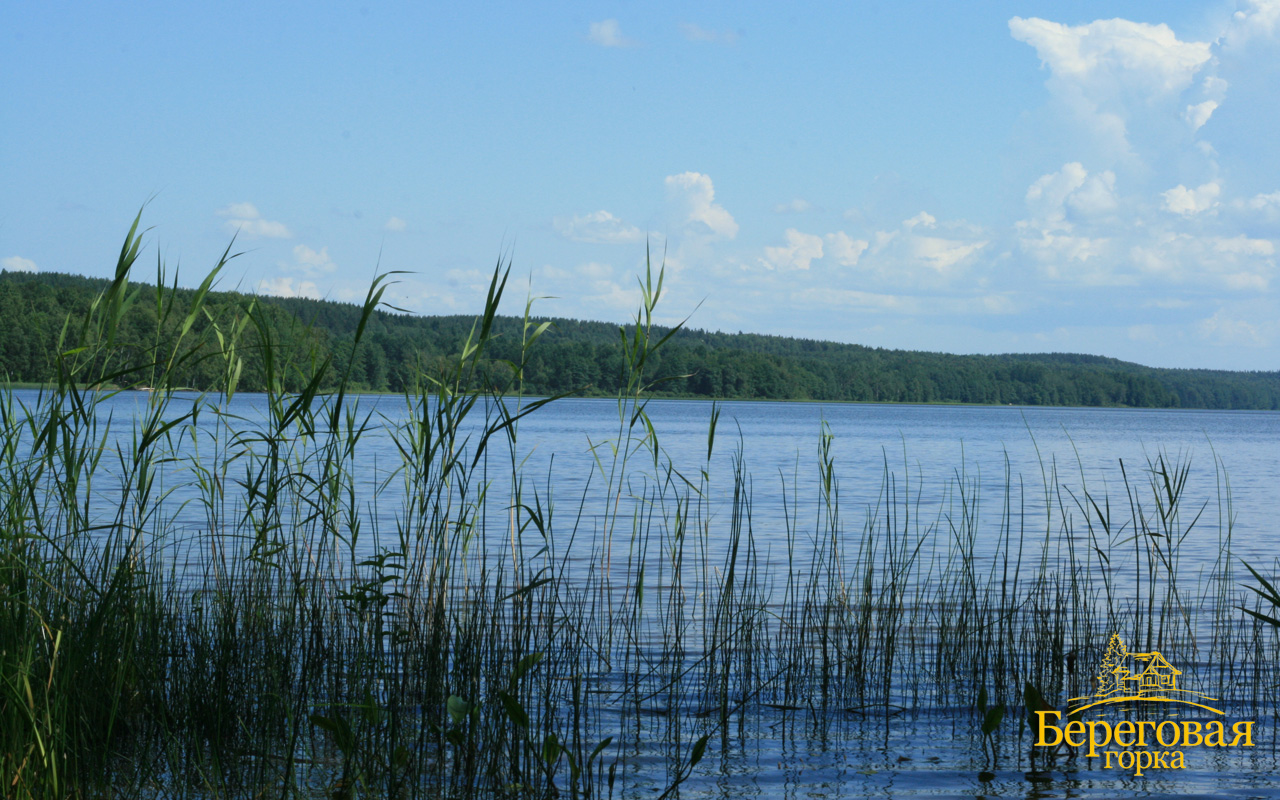 Озеро три сестры. Озеро трех сестер. Третье озеро Прибрежный. Деревня береговые морины Новгородская. Горка поселок на озере Красногвардейское.